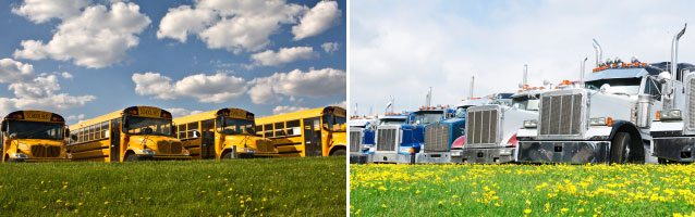 Fleet of school buses and trucks