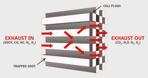 dpf-illustration